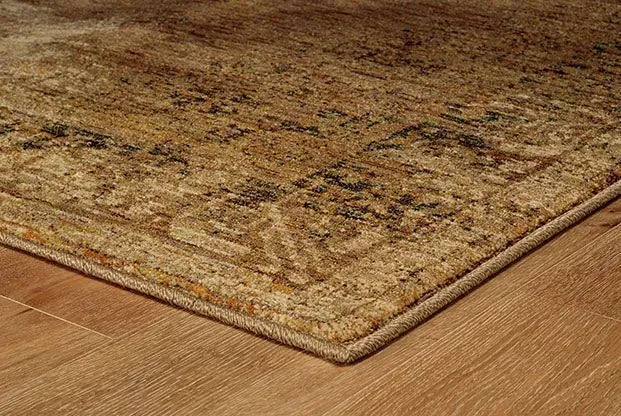 Andorra 6845D Gold/ Brown Rug
