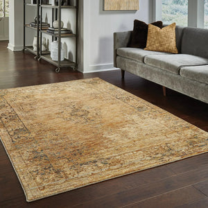 Andorra 6845D Gold/ Brown Rug