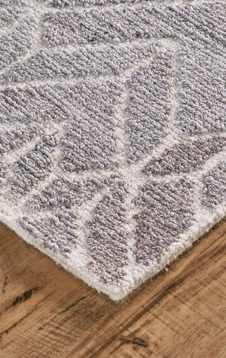 Asher 8769F Gray Rug