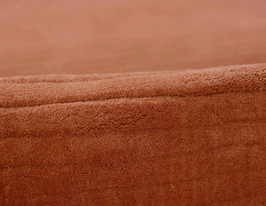 Asher ASH-1 Rust Rug
