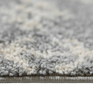 Aspen ASP-2 Grey/Ivory Rug