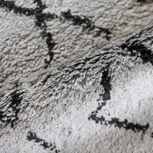 Aspen ASP-4 Grey/Black Rug