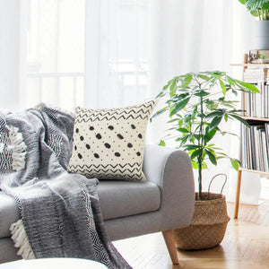 Avant-Garde Lr07538 Cream/Black Pillow