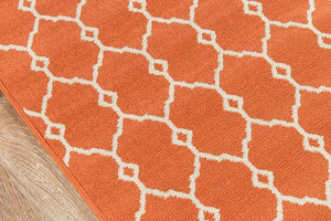 Baja BAJ-2 Orange Rug