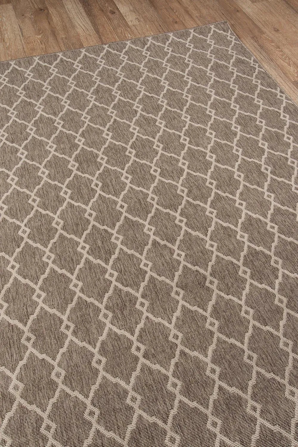 Baja BAJ 2 Taupe Rug