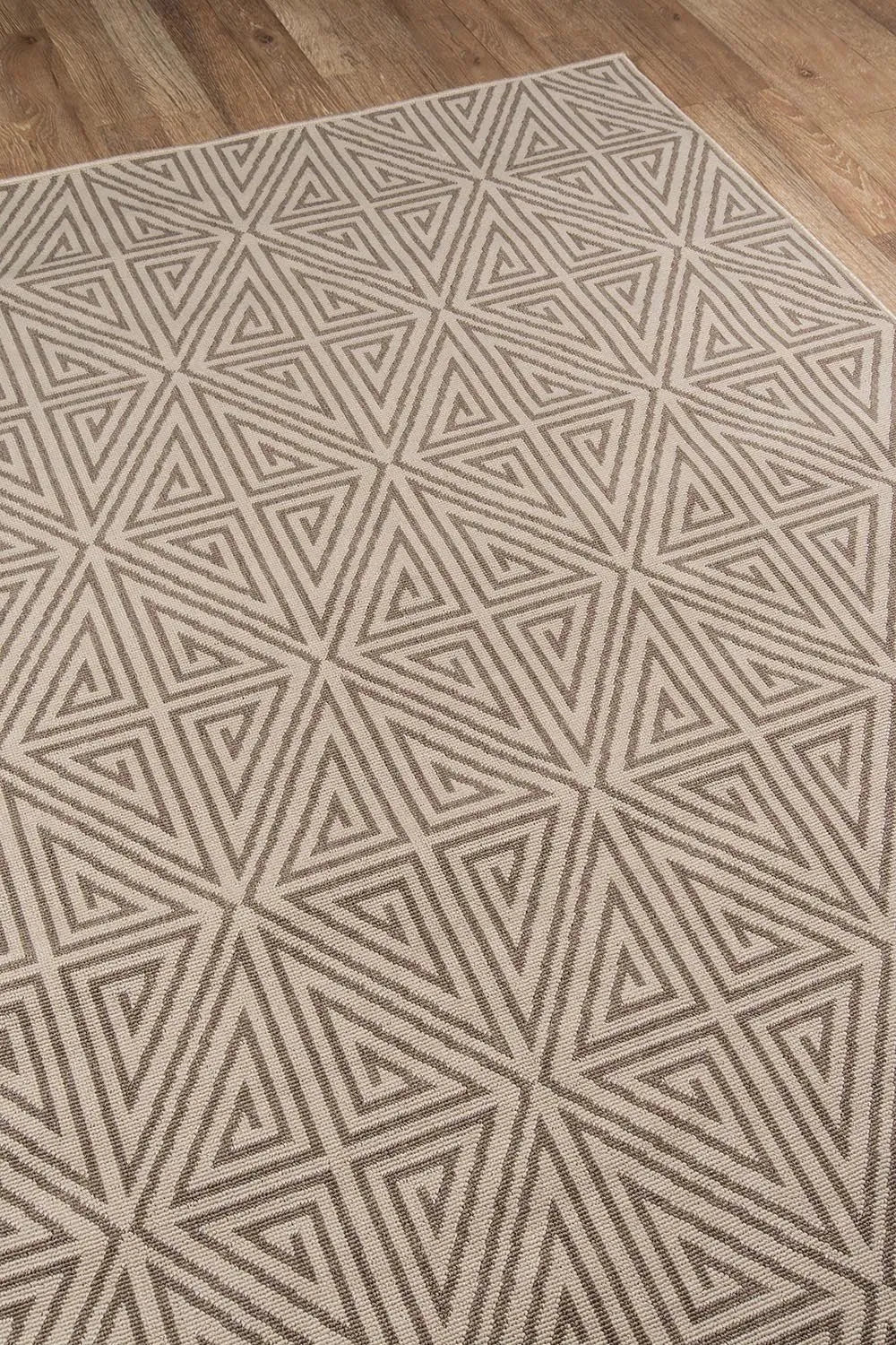 Baja BAJ 4 Taupe Rug