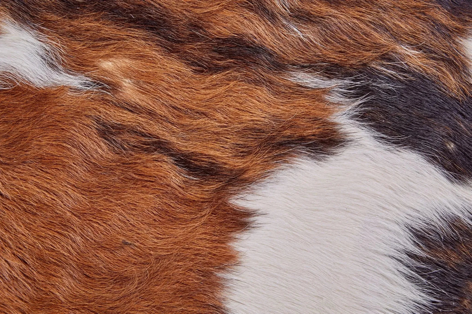 Bartlett ARGCOWHD Brown/Black/White Rug