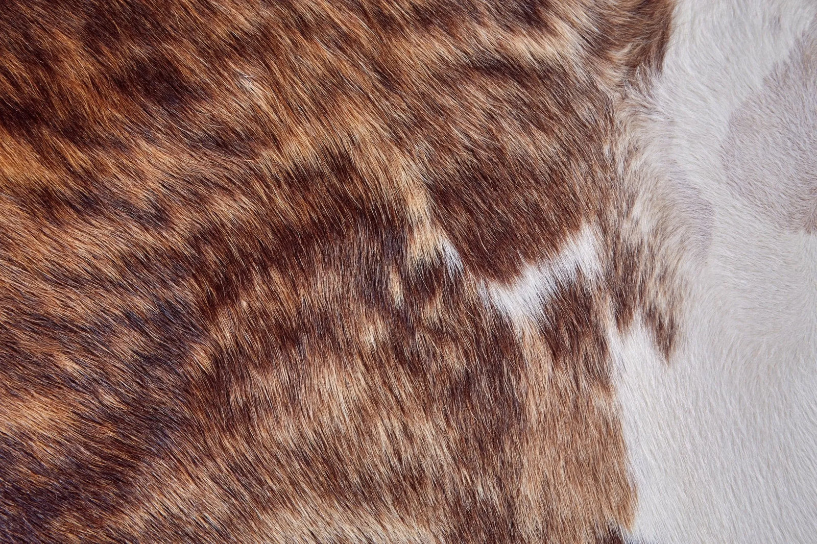 Bartlett ARGCOWHD Brown/Tan/White Rug