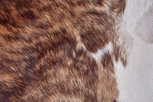 Bartlett ARGCOWHD Brown/Tan/White Rug
