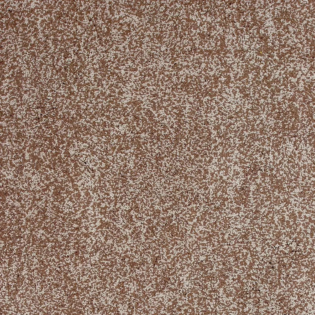 Bliss 1581 Shag Beige Heather Rug
