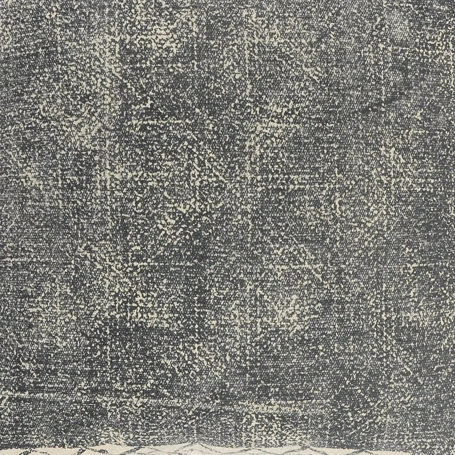 Bordered Modern Rustic Lr07575 Gray/White Pillow