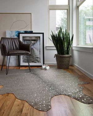 Bryce BZ-03 Graphite/Silver Rug