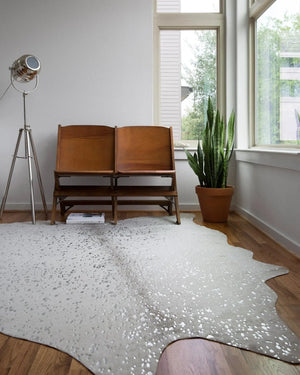 Bryce BZ-09 Stone/Silver Rug