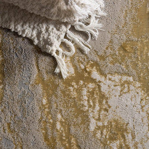 Catalyst Cty02 Cisco Gray/Gold Rug