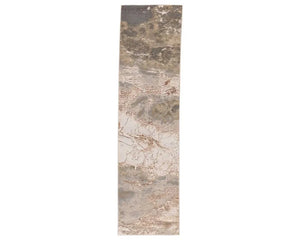 Catalyst CTY03 Cisco Gray/Brown Rug