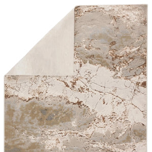 Catalyst Cty03 Cisco Gray/Brown Rug