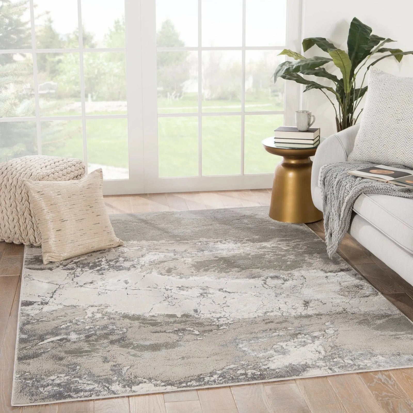 Catalyst Cty04 Cisco Gray Rug