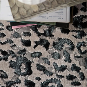 Catalyst Cty07 Fauve Gray/Black Rug