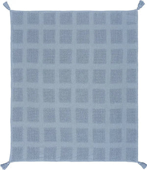 Charming Light Blue LR80160 Throw Blanket