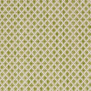 Courtyard COU01 Ivory/Green Rug