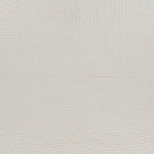 Cozy Throw Lr05291 Ivory Throw Blanket