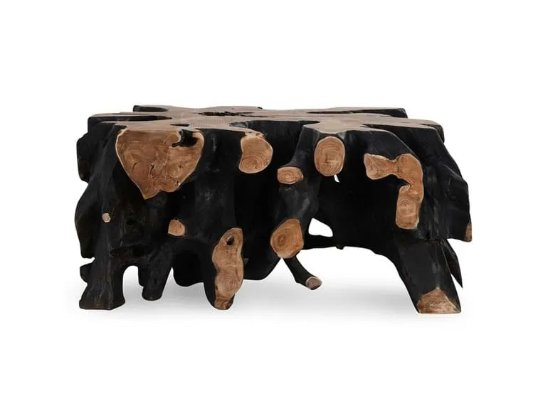 Cypress Root 40" Square Coffee Table Black/Natural