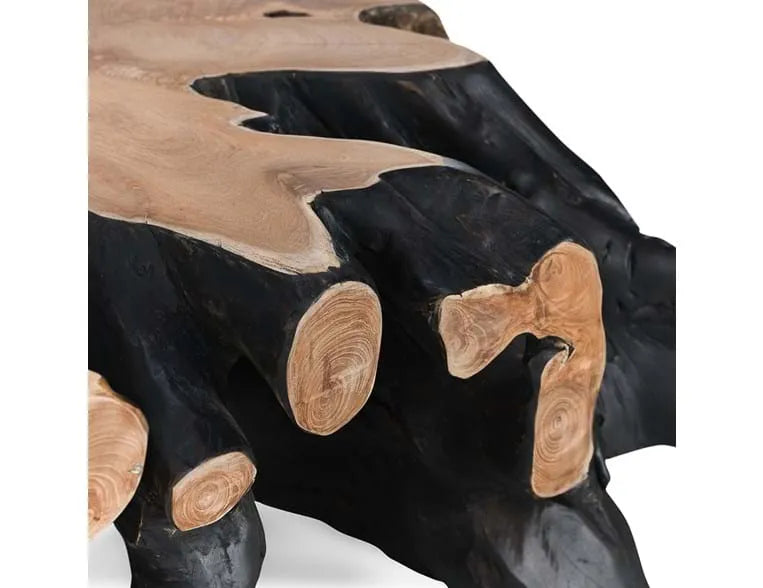 Cypress Root 40" Square Coffee Table Black/Natural