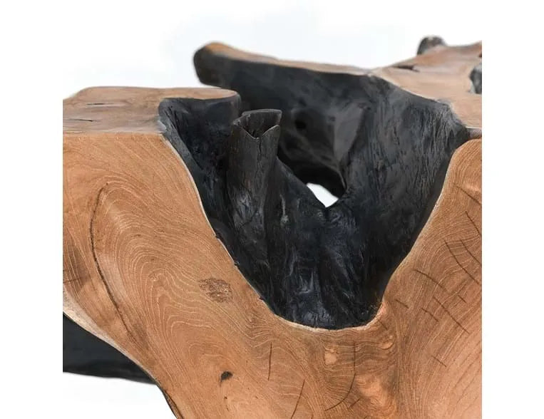 Cypress Root 40" Square Coffee Table Black/Natural