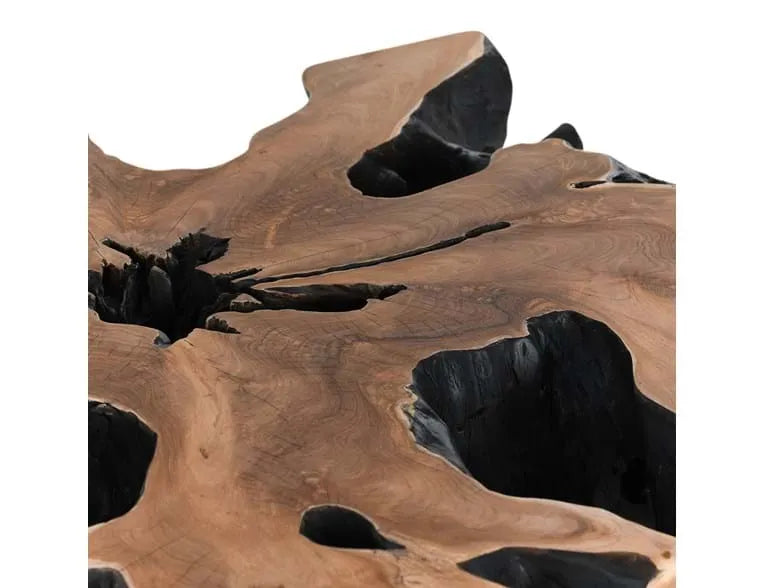 Cypress Root 40" Square Coffee Table Black/Natural