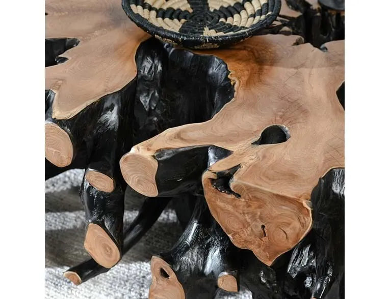 Cypress Root 40" Square Coffee Table Black/Natural