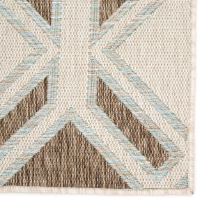 Decora by Nikki Chu DNC19 Samba Brown/Light Blue Rug
