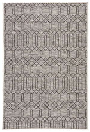Decora by Nikki Chu DNC21 Calcutta Gray Rug