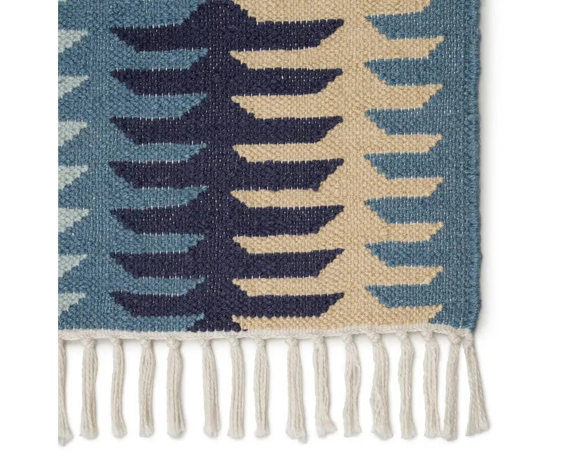 Desert DES21 Carver Blue / Gray Rug