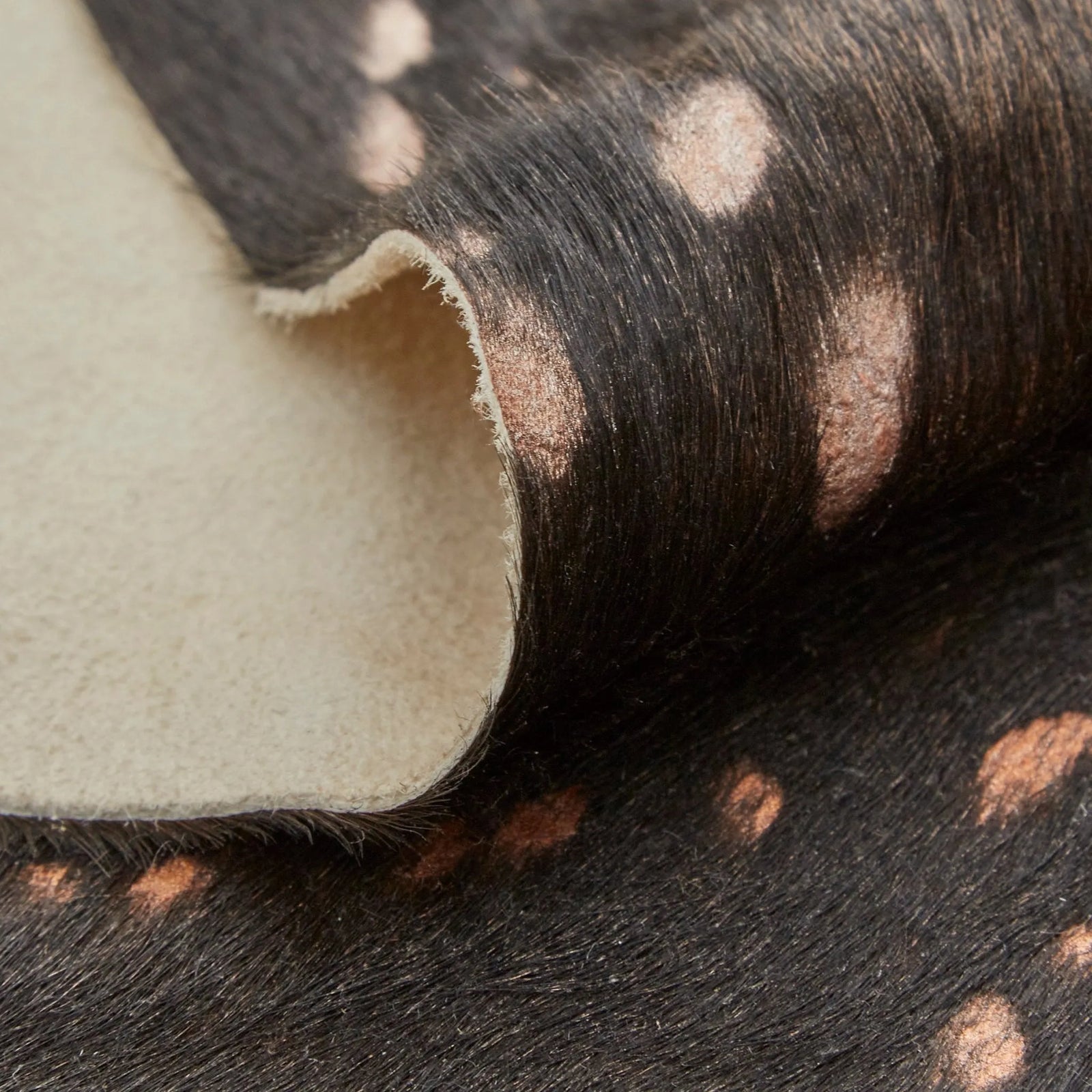 Ellyse ELLRAIND Brown Rug
