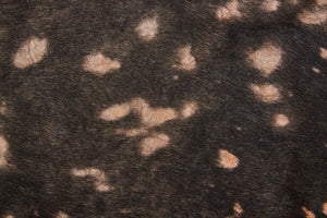 Ellyse ELLRAIND Brown Rug