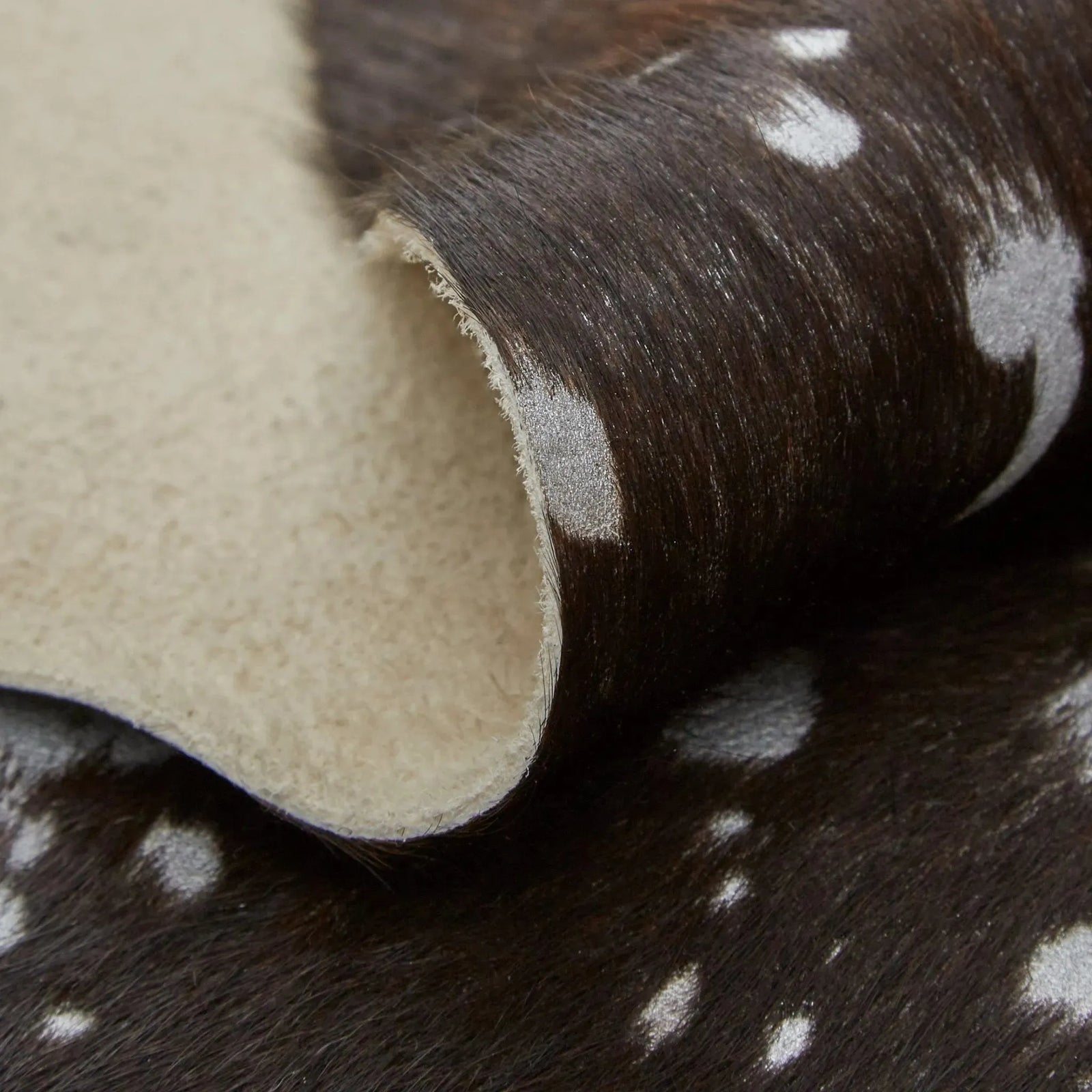 Ellyse ELLRAIND Silver/Brown Rug