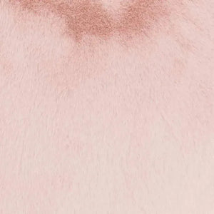 Faux Fur SN103 Blush Pillow