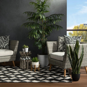 Fresno Fsn01 Zemira Black/Cream Rug
