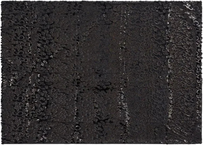 Fur N9510 Black Throw Blanket