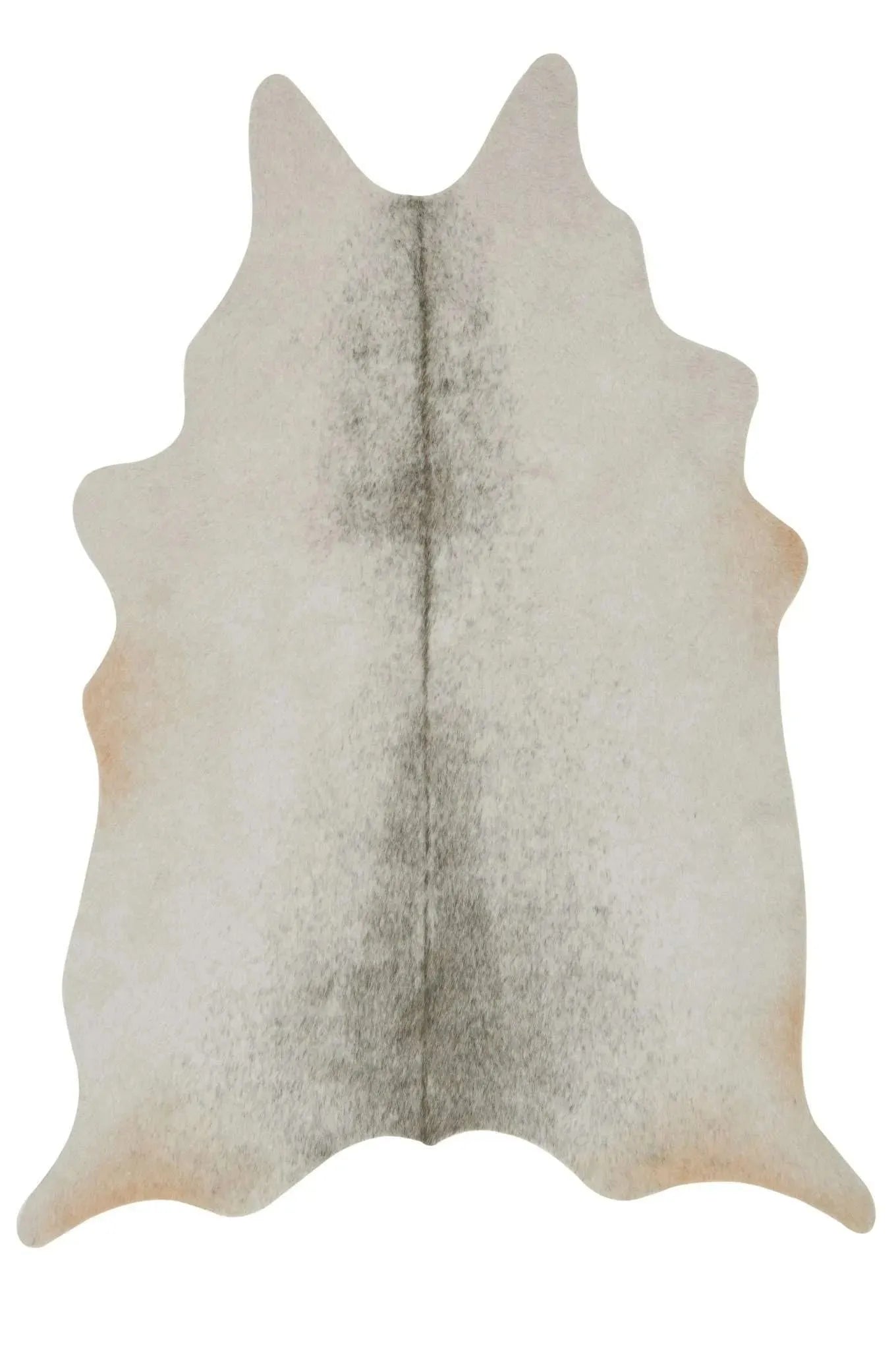 Grand Canyon GC 15 Silver / Grey Rug