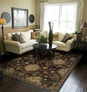 Hudson 42G Brown/ Beige Rug