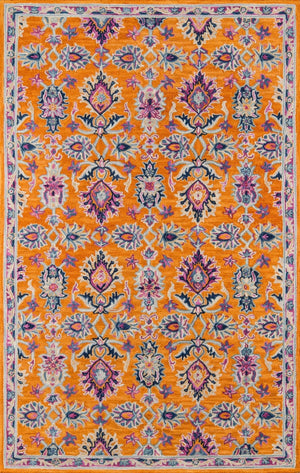 Ibiza IBI-4 Orange Rug