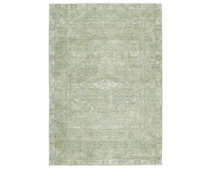 Keyara KNC03 Green/Taupe Rug