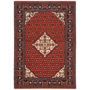 Lilihan 1C Red/Blue Rug
