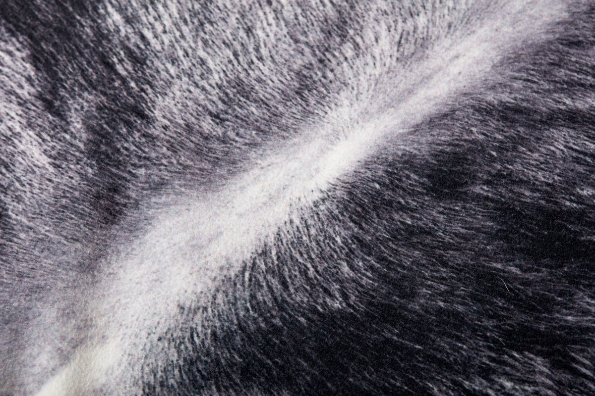 Loloi P0979 Charcoal Pillow