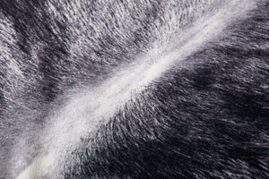 Loloi P0979 Charcoal Pillow