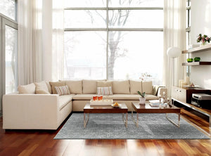 Manoa 8353F Gray Rug