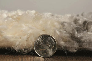 Merino 6713 Ivory/Grey Silhouette Rug