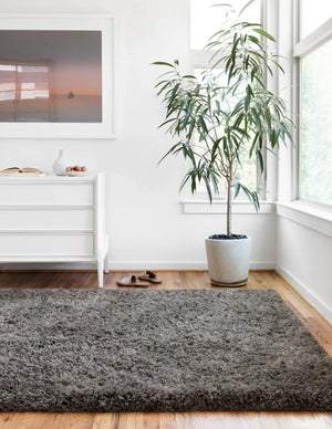 Mila Shag MIL-01 Charcoal Rug