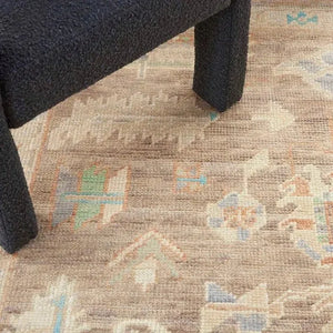 Odessa ODS01 Ivory/Mocha Rug
